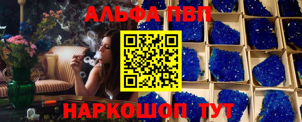 A PVP СК КРИС Архангельск
