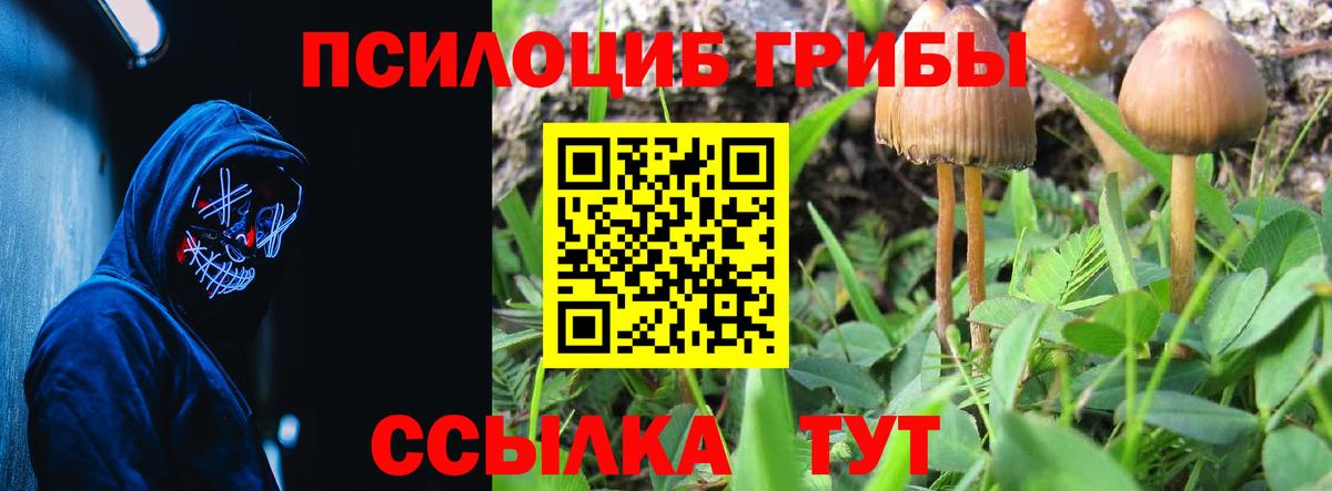 Псилоцибиновые грибы мухоморы Архангельск